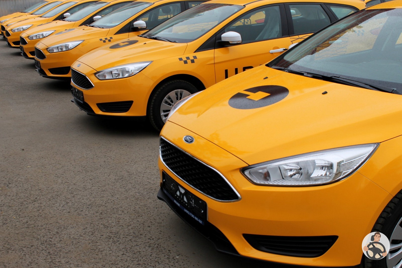 Ford Focus sedan брендирование Яндекс такси для Белгорода