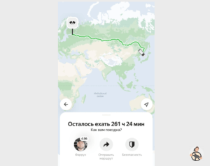 Безумству храбрых поём ли мы славу